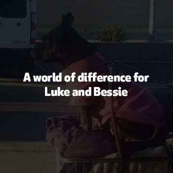 A world of difference for Luke and Bessie