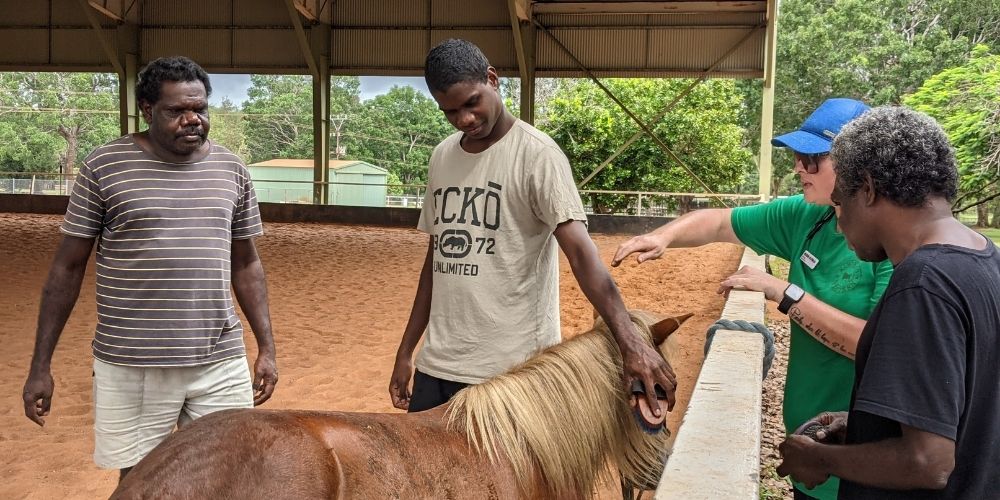 MAARTS participants standing and patting horses