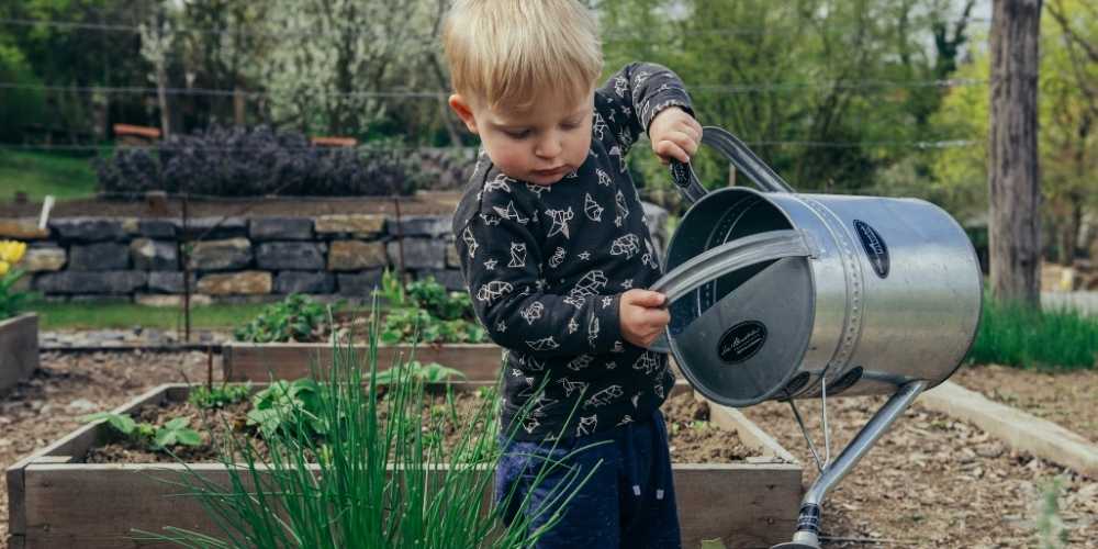 Young boy watering flower bed 