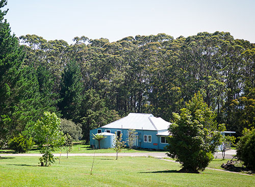 triple care farm