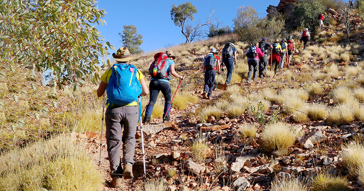 A group of people trekking in the wild