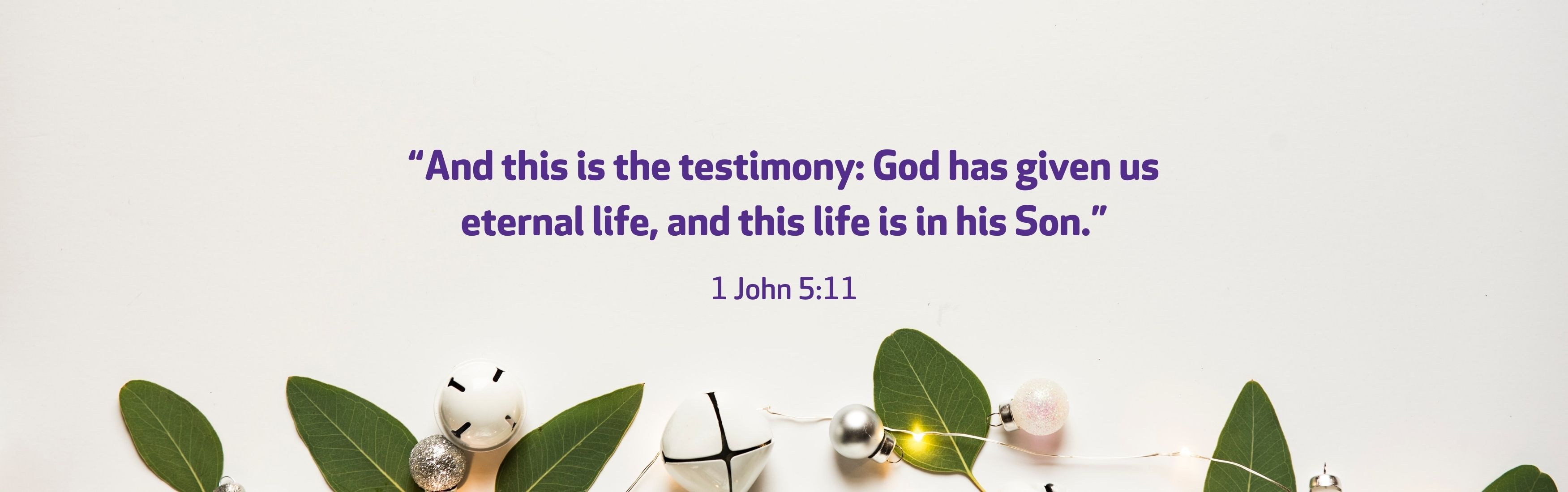 1 John 5:11 “And this is the testimony: God has given us eternal life, and this life is in his Son.” 