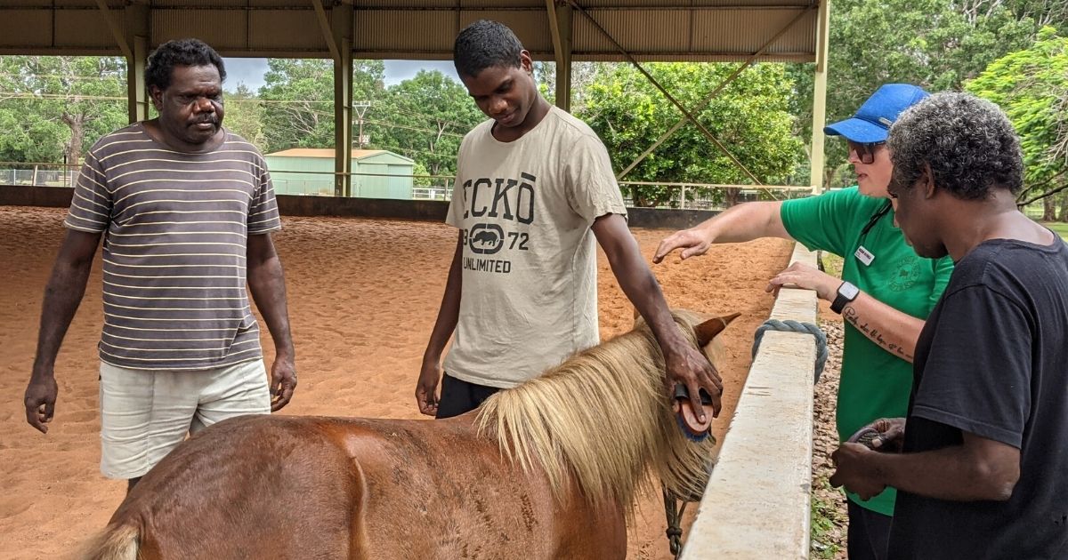 People standing and patting horses