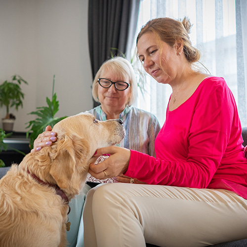 Mother and daughter patting dog