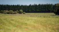 The farmland at Triple Care Farm