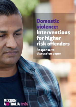 Screenshot of Domestic Violence: Interventions for higher risk offenders document