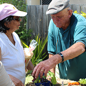 Volunteers doing work in the garden